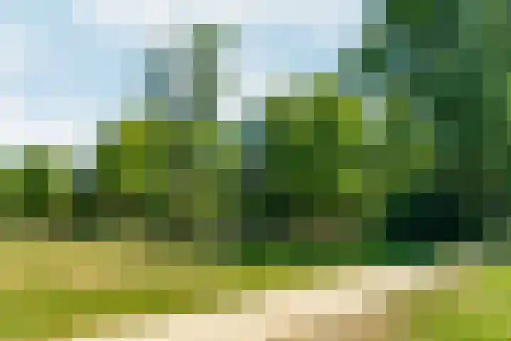 Koninginneweg 130 3V Amsterdam thumbnail 28
