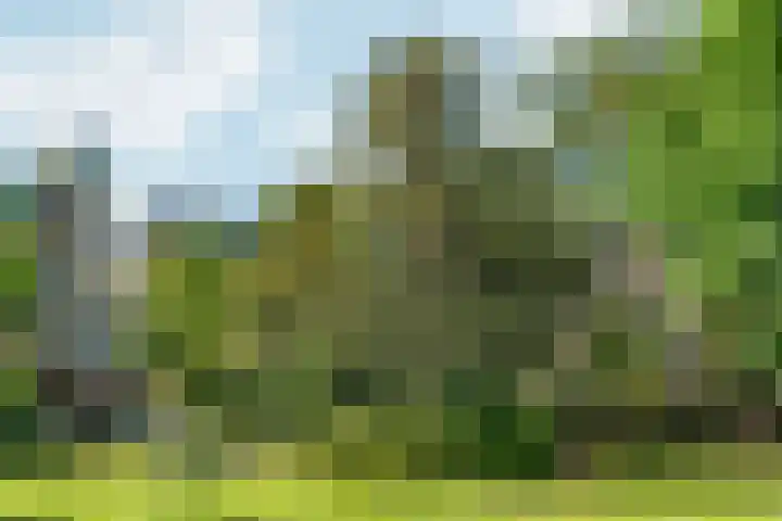 Koninginneweg 130 3V Amsterdam thumbnail 35