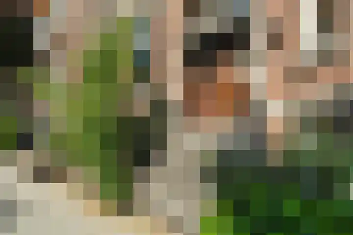 Koninginneweg 130 3V Amsterdam thumbnail 7