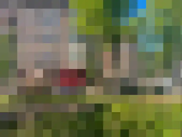 Koninginneweg 134 H Amsterdam thumbnail 15