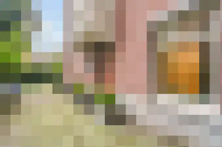 Koninginneweg 136 H Amsterdam thumbnail 30