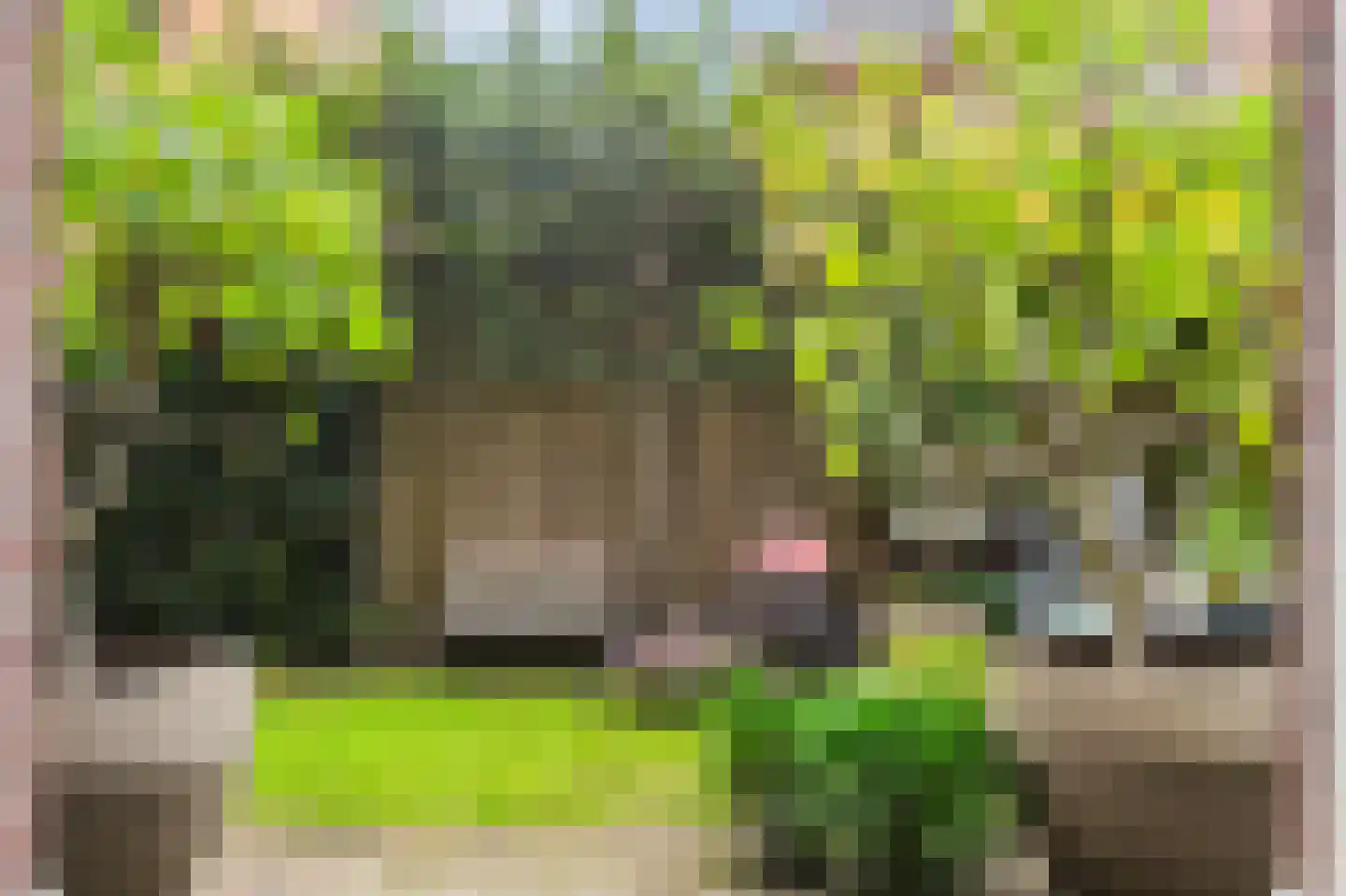 Koninginneweg 136 H Amsterdam thumbnail 31