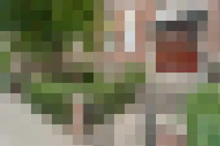 Koninginneweg 136 H Amsterdam thumbnail 34