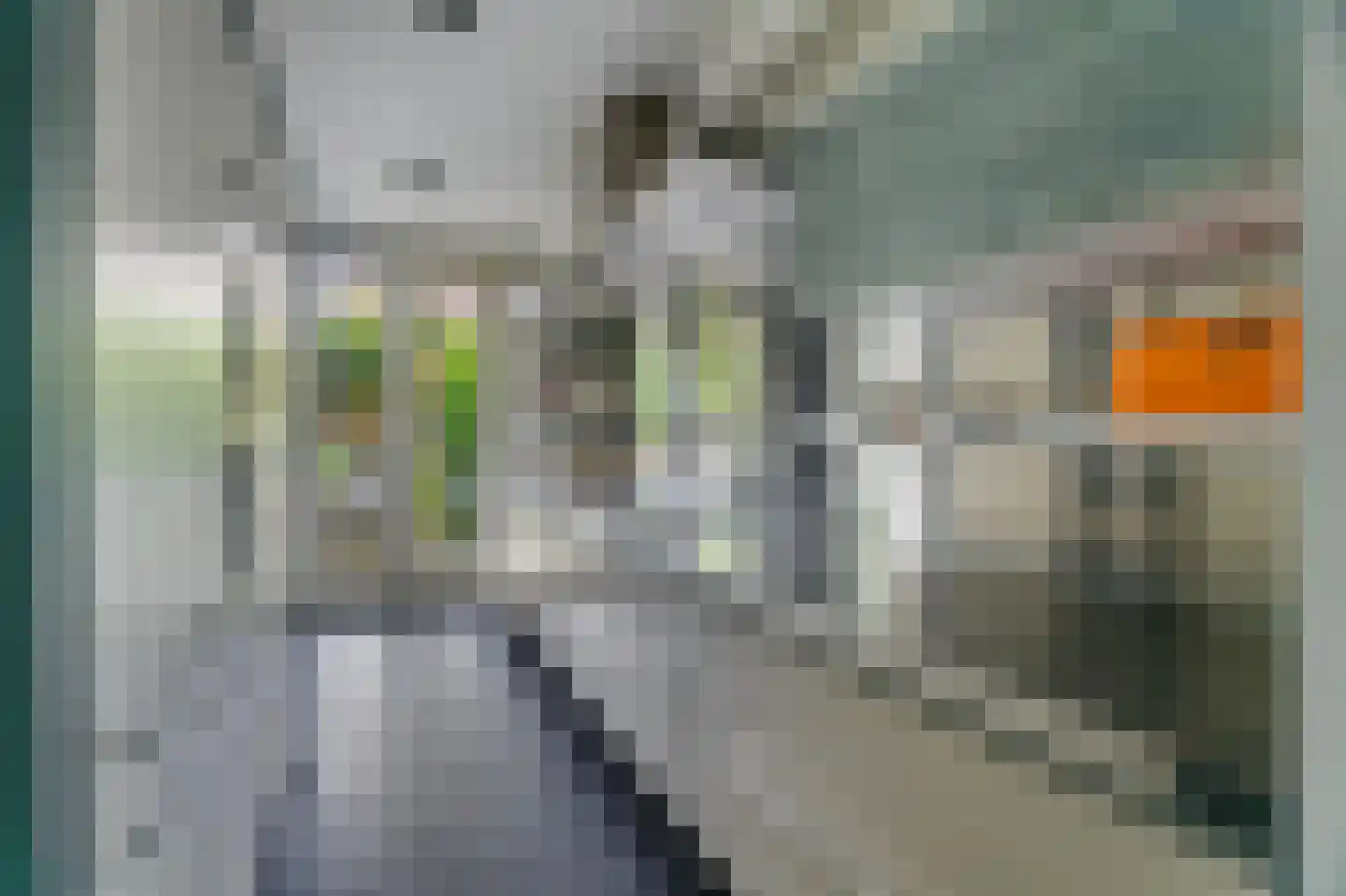 Koninginneweg 136 H Amsterdam thumbnail 5