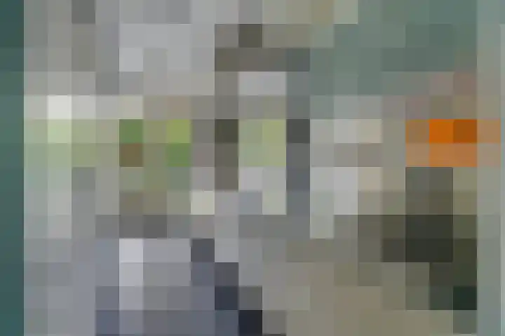 Koninginneweg 136 H Amsterdam thumbnail 5
