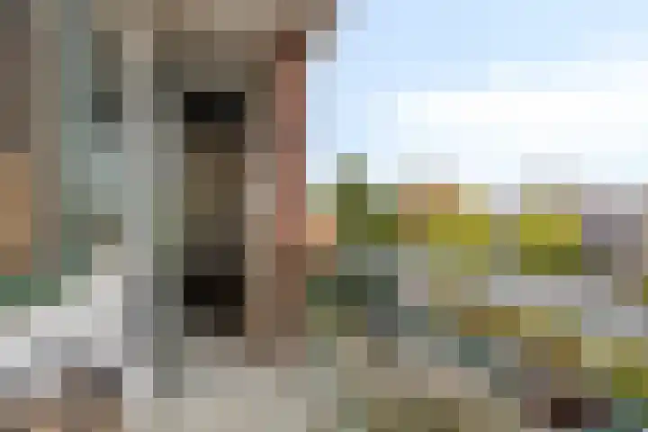 Koninginneweg 139 Bodegraven thumbnail 10