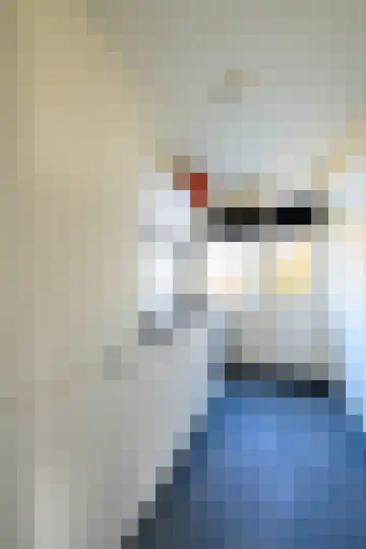 Koninginneweg 139 Bodegraven thumbnail 13