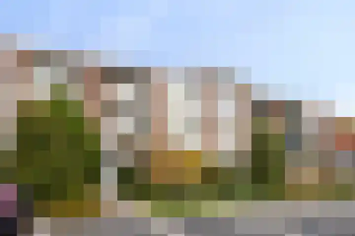 Koninginneweg 139 Bodegraven thumbnail 22