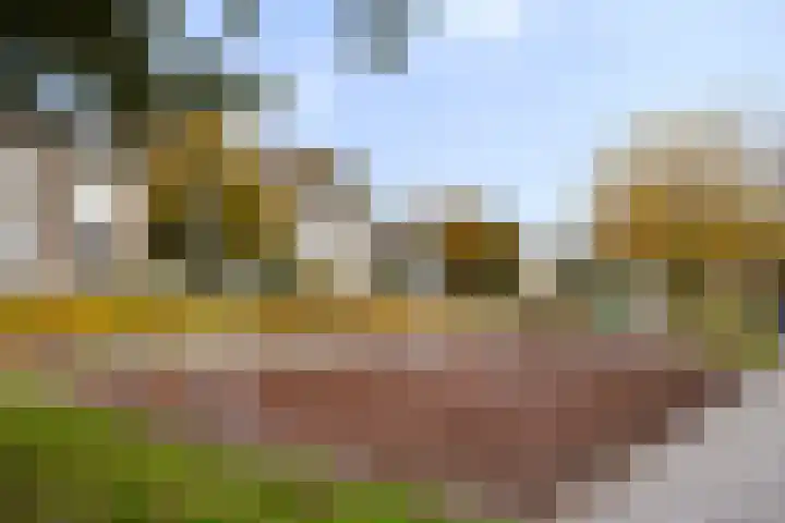 Koninginneweg 139 Bodegraven thumbnail 25