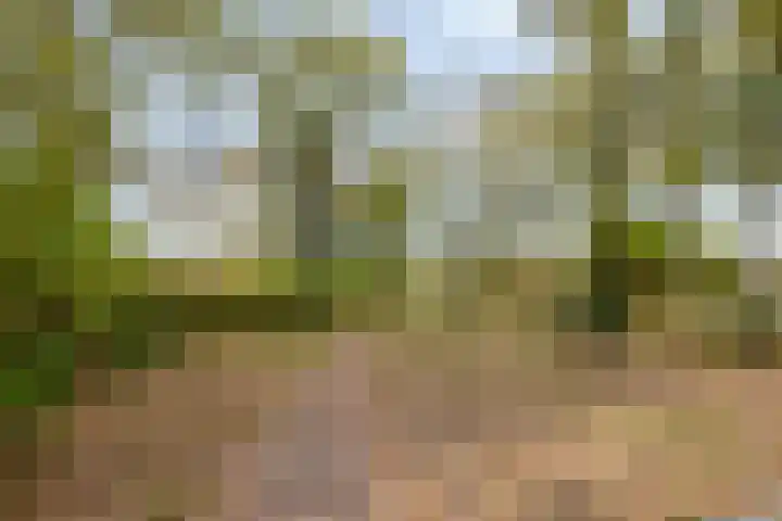 Koninginneweg 139 Bodegraven thumbnail 26