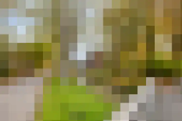 Koninginneweg 139 Bodegraven thumbnail 27