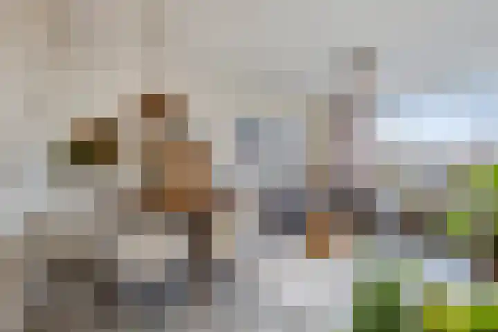 Koninginneweg 139 Bodegraven thumbnail 6