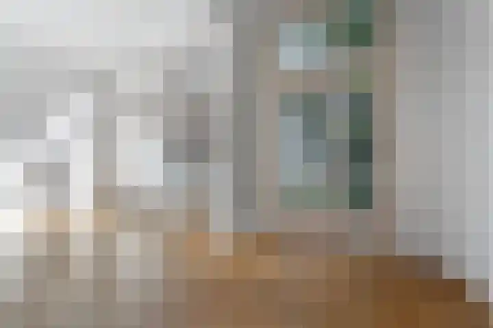 Koninginneweg 141 2 Amsterdam thumbnail 11