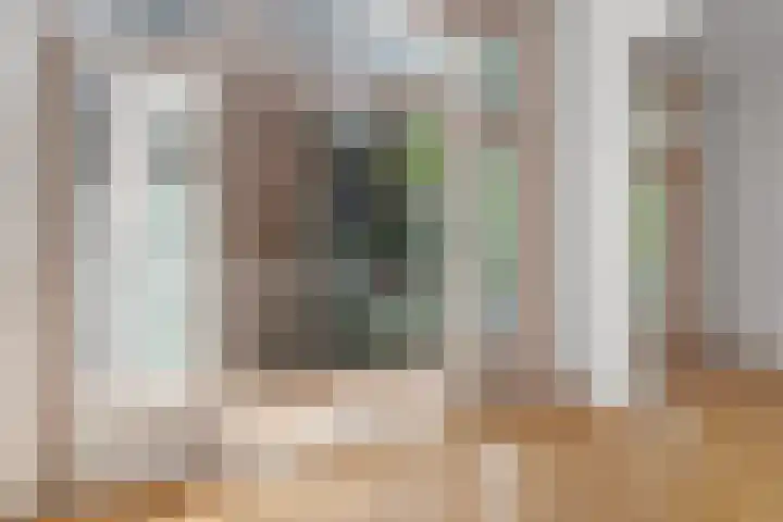 Koninginneweg 141 2 Amsterdam thumbnail 15