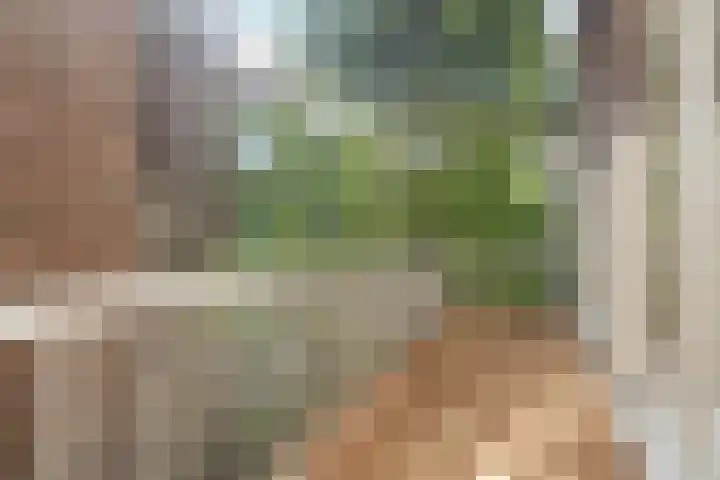 Koninginneweg 141 2 Amsterdam thumbnail 16