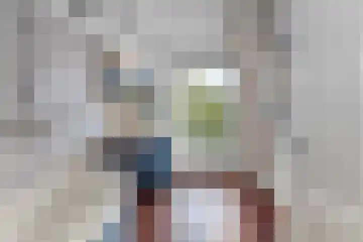 Koninginneweg 141 2 Amsterdam thumbnail 27