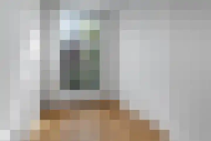 Koninginneweg 141 2 Amsterdam thumbnail 40