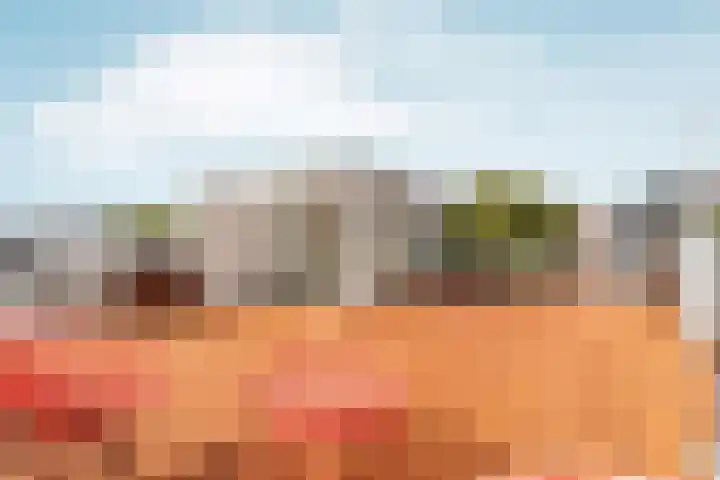 Koninginneweg 141 2 Amsterdam thumbnail 48
