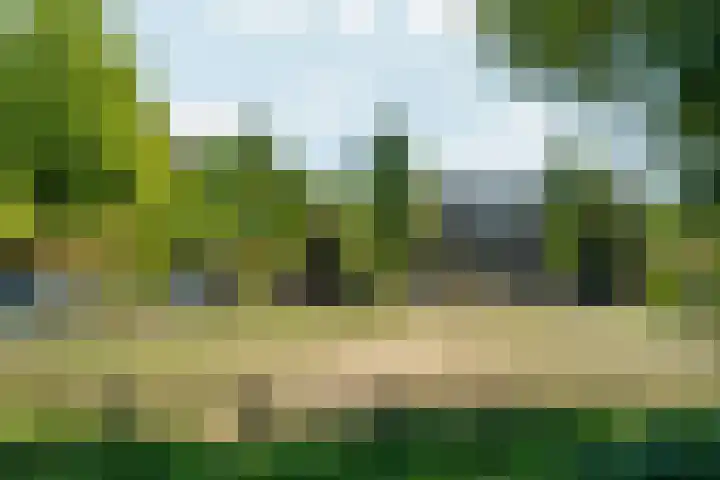 Koninginneweg 141 2 Amsterdam thumbnail 55