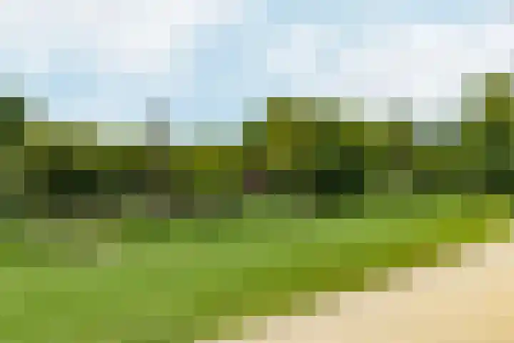 Koninginneweg 141 2 Amsterdam thumbnail 57
