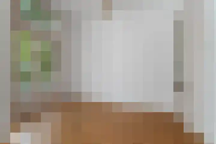 Koninginneweg 141 2 Amsterdam thumbnail 9