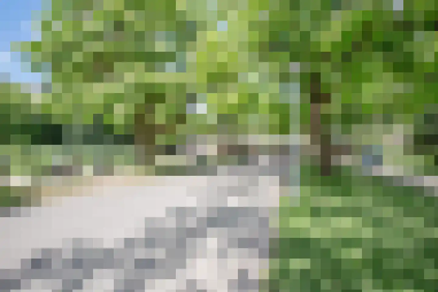 Koninginneweg 142 C Amsterdam thumbnail 19