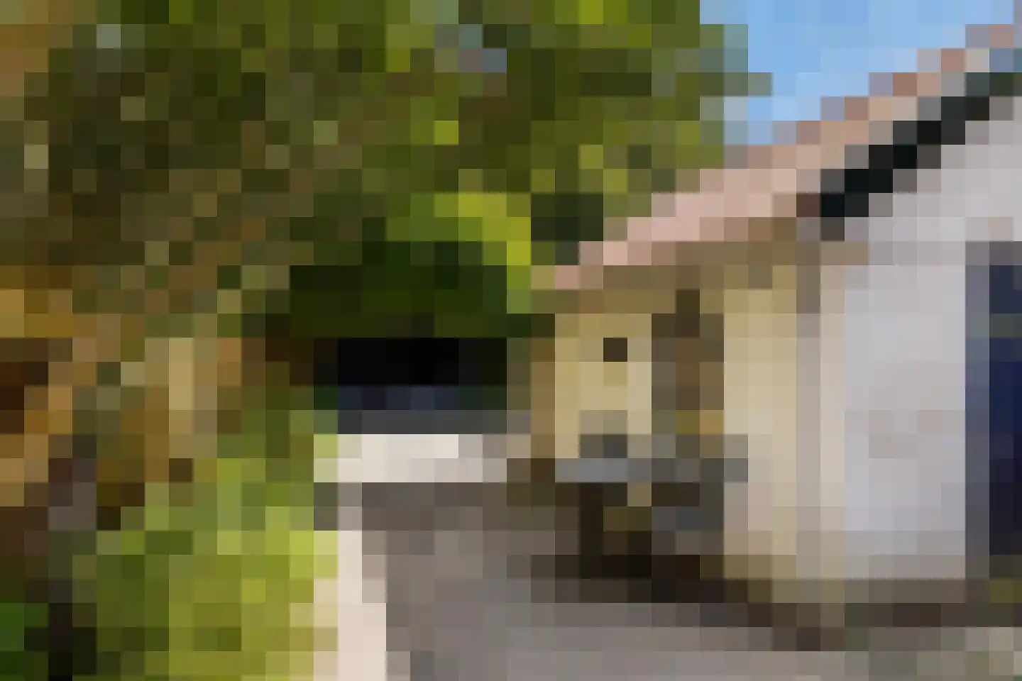 Koninginneweg 143 Rotterdam thumbnail 25