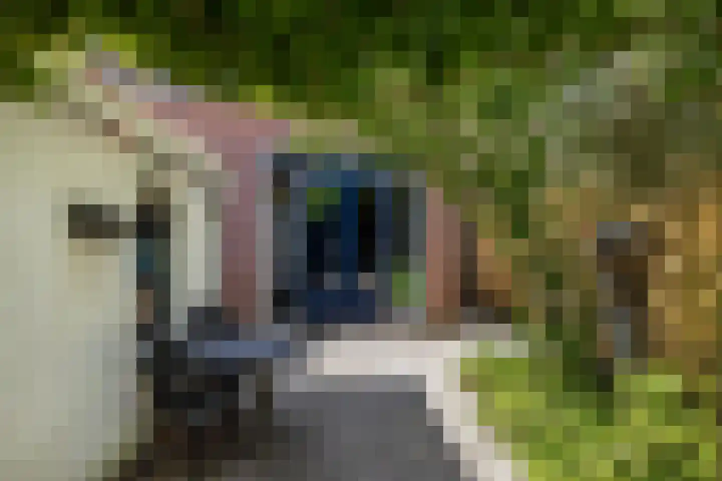 Koninginneweg 143 Rotterdam thumbnail 26