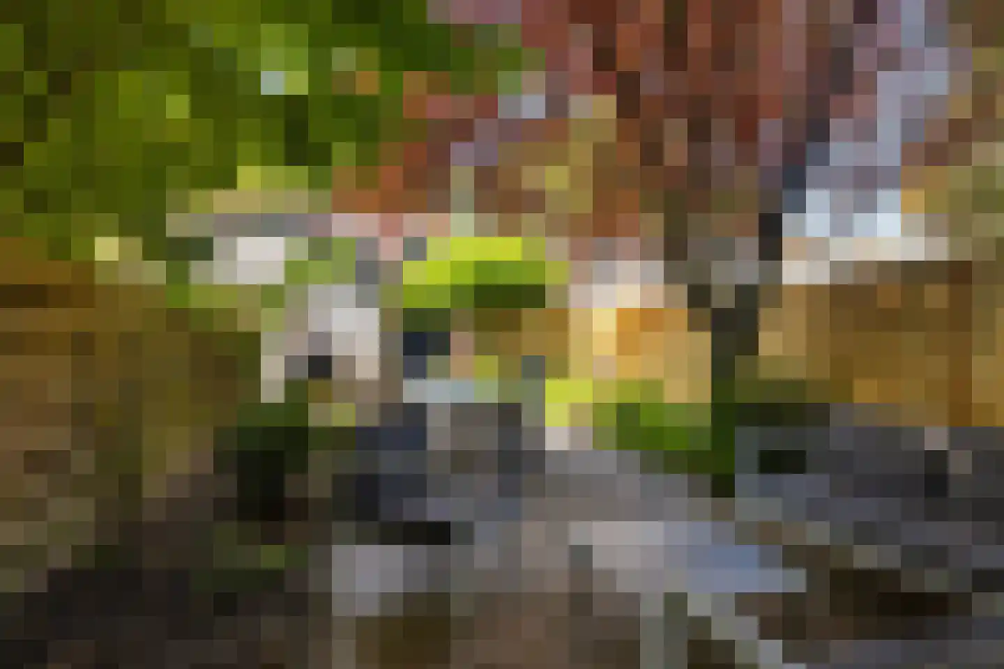 Koninginneweg 143 Rotterdam thumbnail 29