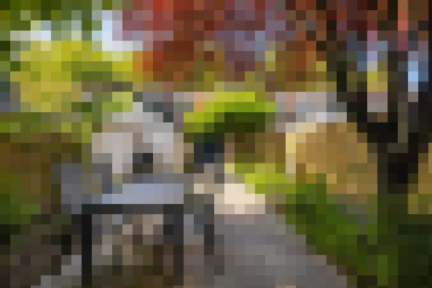 Koninginneweg 143 Rotterdam thumbnail 30