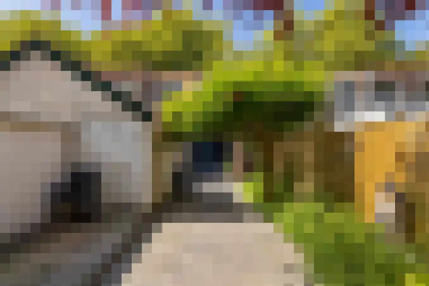 Koninginneweg 143 Rotterdam thumbnail 31