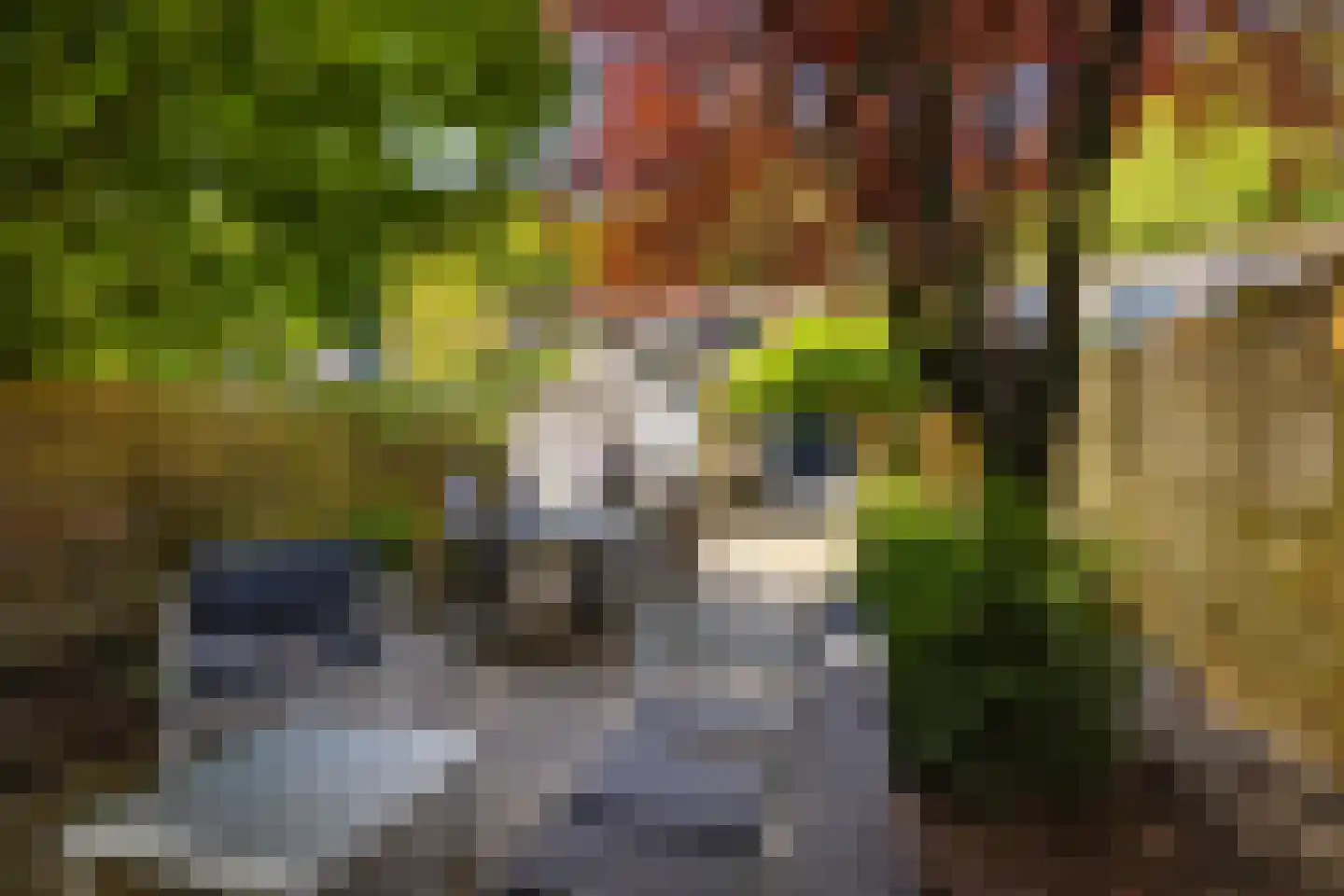 Koninginneweg 143 Rotterdam thumbnail 4