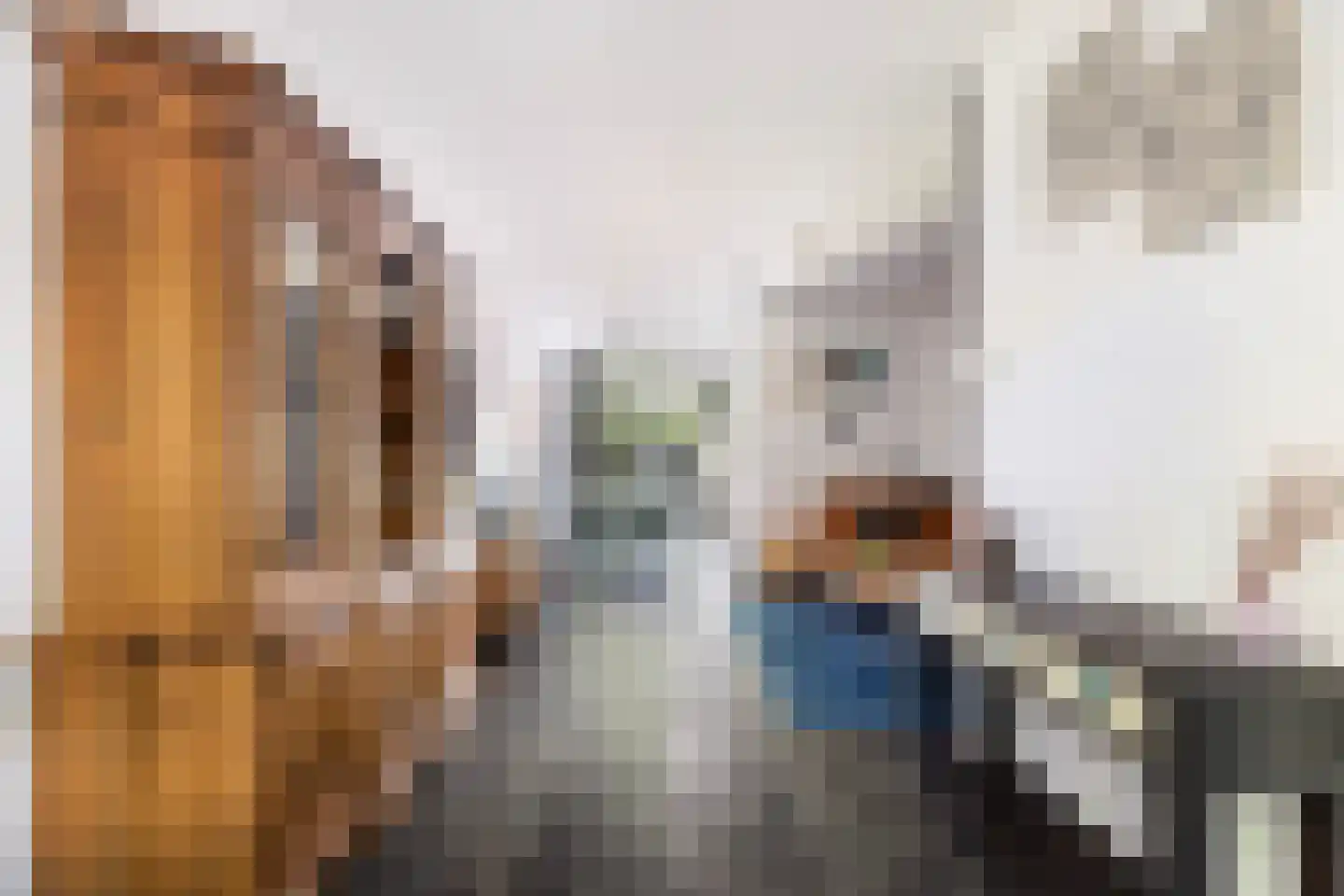 Koninginneweg 143 Rotterdam thumbnail 6