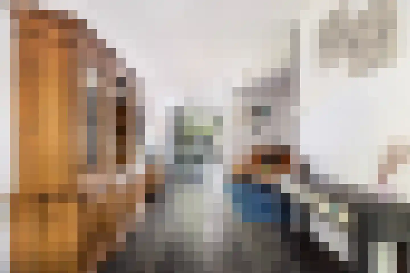 Koninginneweg 143 Rotterdam thumbnail 8