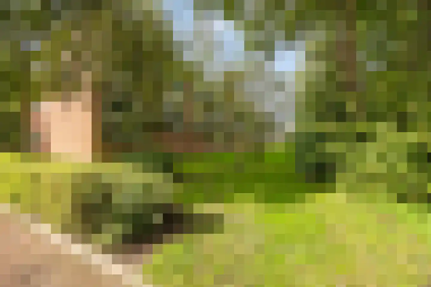 Koninginneweg 145 Bodegraven thumbnail 22