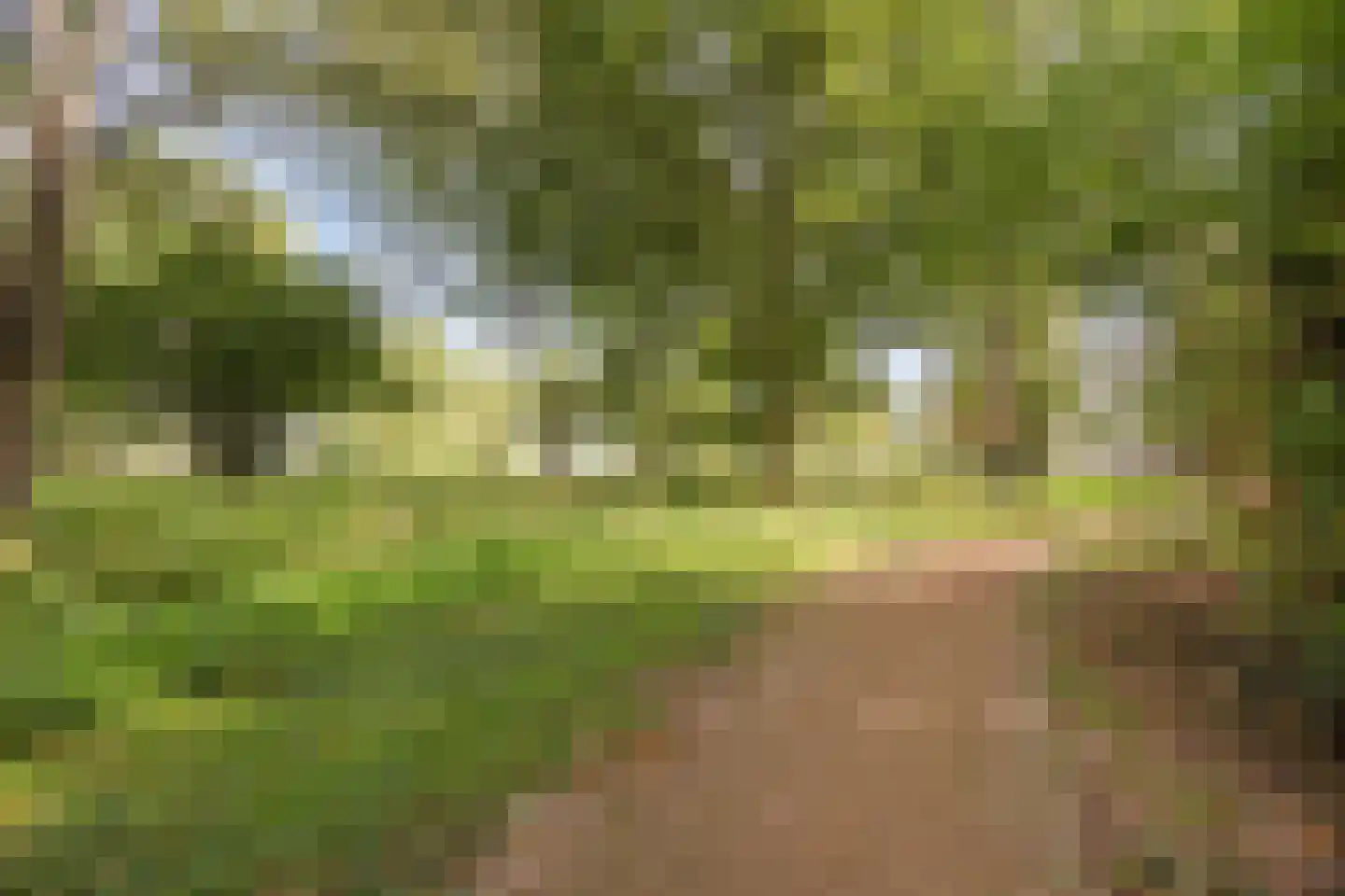 Koninginneweg 145 Bodegraven thumbnail 23
