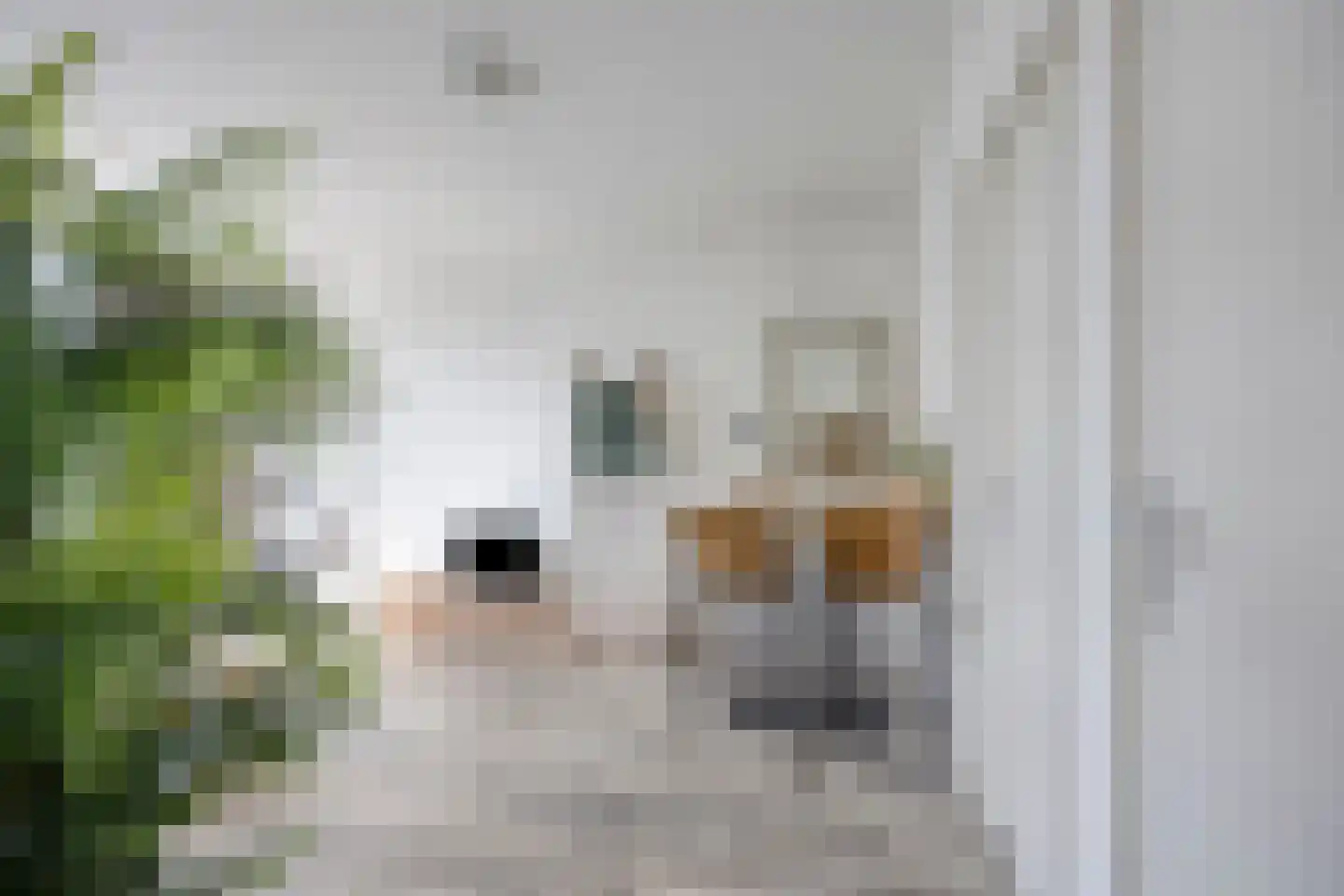 Koninginneweg 145 Bodegraven thumbnail 6