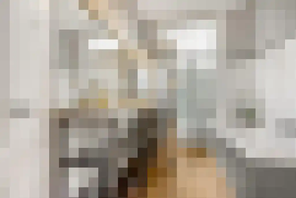 Koninginneweg 145 H Amsterdam thumbnail 15