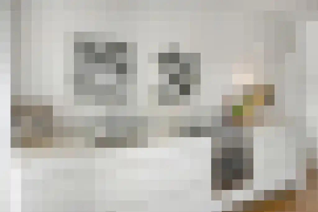 Koninginneweg 145 H Amsterdam thumbnail 7
