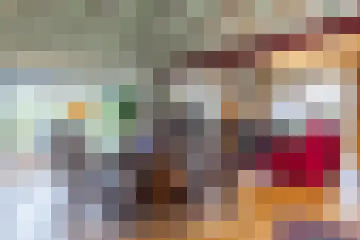 Koninginneweg 15 Vroomshoop thumbnail 18