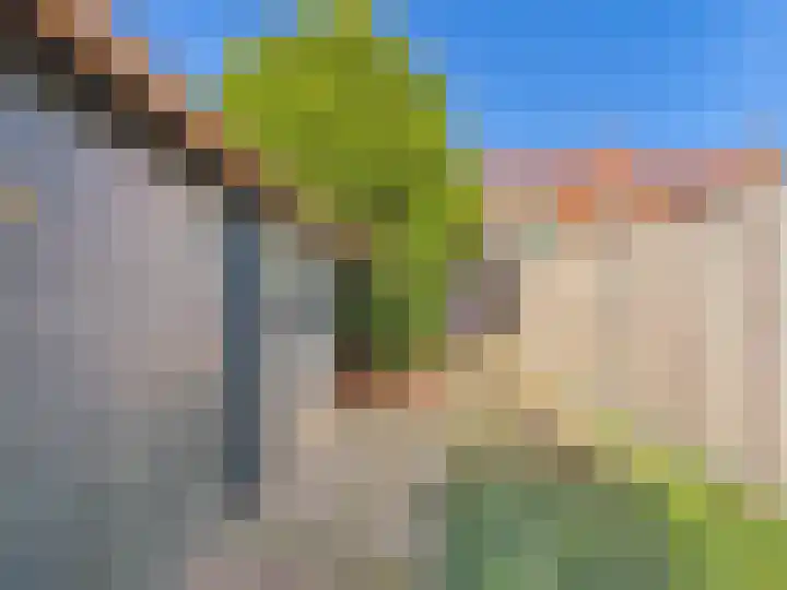 Koninginneweg 15 Vroomshoop thumbnail 21