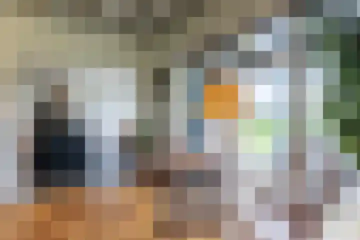 Koninginneweg 15 Vroomshoop thumbnail 21