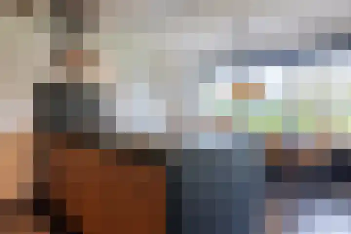 Koninginneweg 15 Vroomshoop thumbnail 25
