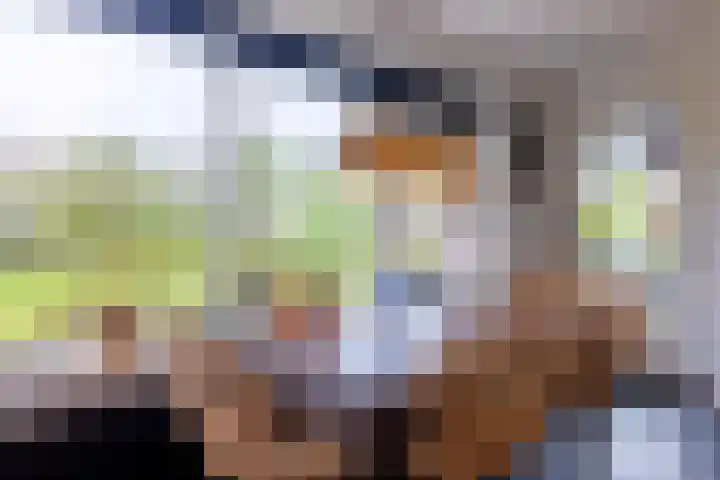 Koninginneweg 15 Vroomshoop thumbnail 26