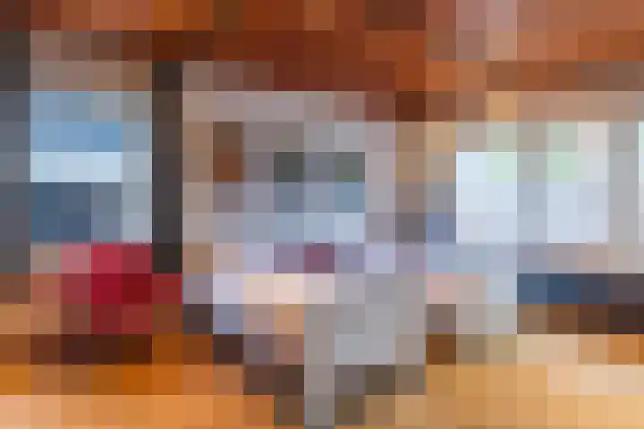 Koninginneweg 15 Vroomshoop thumbnail 27