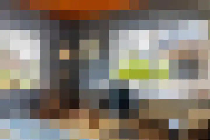 Koninginneweg 15 Vroomshoop thumbnail 33