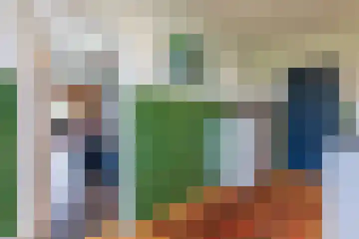Koninginneweg 15 Vroomshoop thumbnail 34