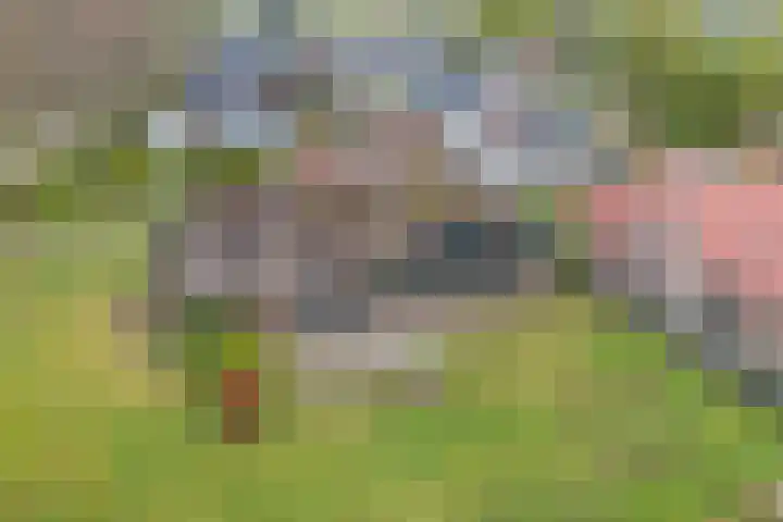 Koninginneweg 15 Vroomshoop thumbnail 4