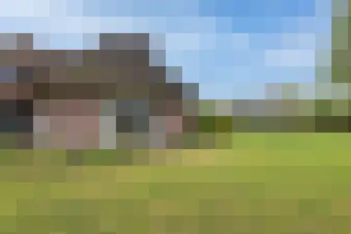 Koninginneweg 15 Vroomshoop thumbnail 43