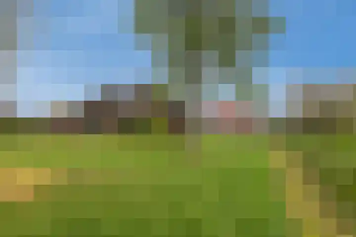 Koninginneweg 15 Vroomshoop thumbnail 44